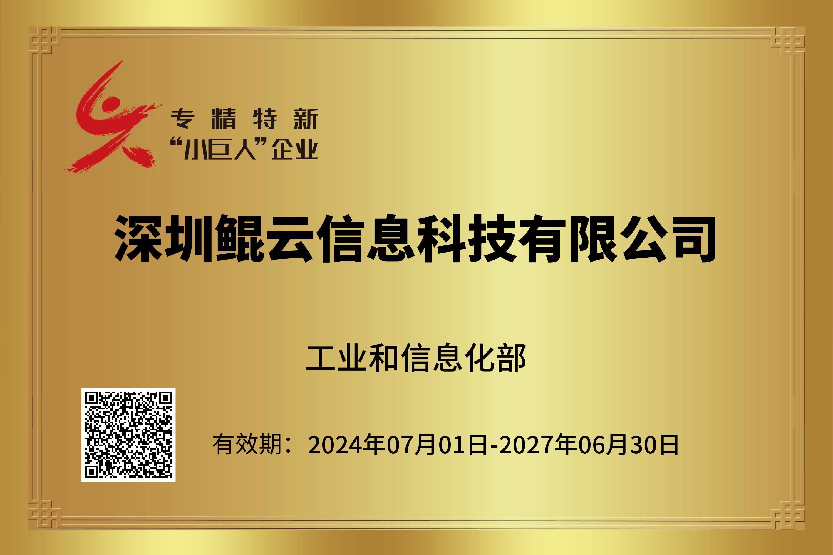 國家級專精特新“小巨人”企業